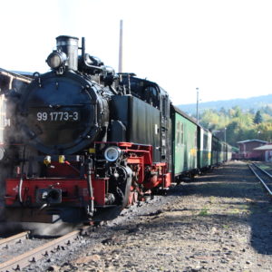 Ausflug ins Erzgebirge 2014